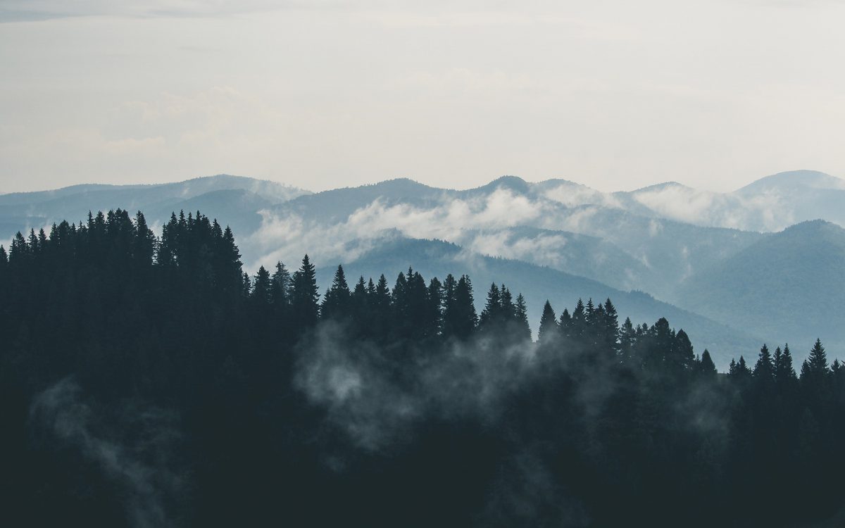 Coucou je suis le texte alternatif. par exmple je pourrais mettre :
Chaine de montagne arboré. ©nomdu photographe